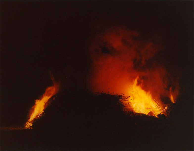 Bonfire 5