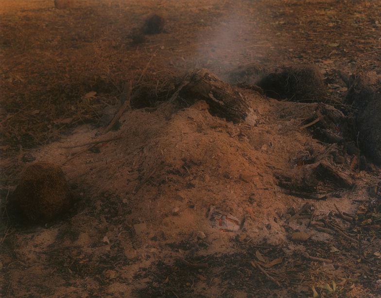 Bonfire 8