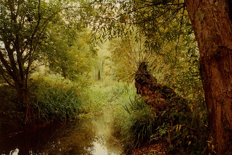 Chilterns National Landscape 9